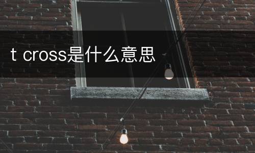 t cross是什么意思