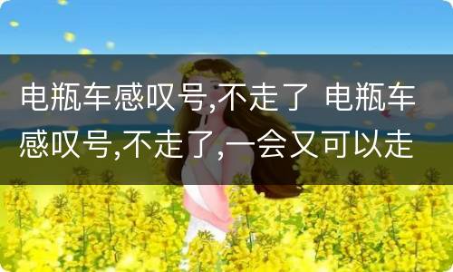电瓶车感叹号,不走了 电瓶车感叹号,不走了,一会又可以走了?