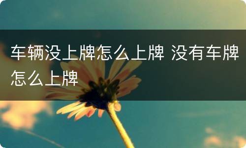 车辆没上牌怎么上牌 没有车牌怎么上牌