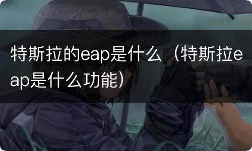 特斯拉的eap是什么（特斯拉eap是什么功能）