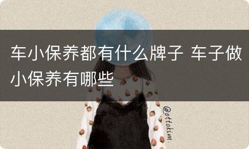 车小保养都有什么牌子 车子做小保养有哪些