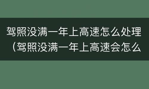 驾照没满一年上高速怎么处理（驾照没满一年上高速会怎么办）