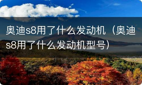 奥迪s8用了什么发动机（奥迪s8用了什么发动机型号）
