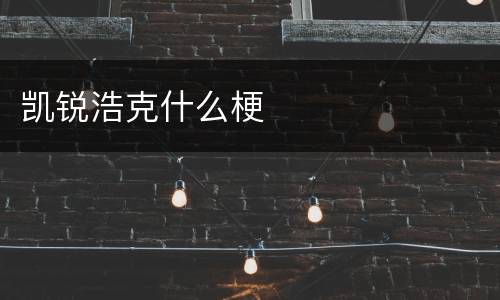 凯锐浩克什么梗