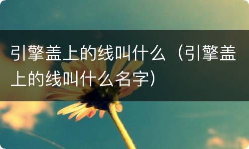 引擎盖上的线叫什么（引擎盖上的线叫什么名字）