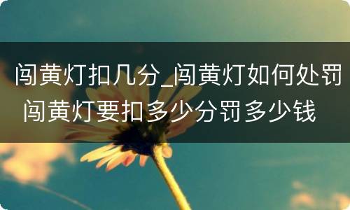 闯黄灯扣几分_闯黄灯如何处罚 闯黄灯要扣多少分罚多少钱