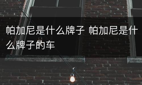 帕加尼是什么牌子 帕加尼是什么牌子的车