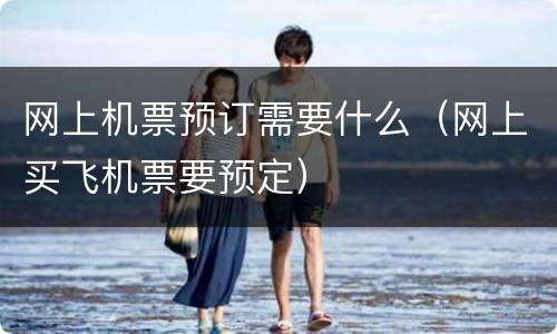 网上机票预订需要什么（网上买飞机票要预定）