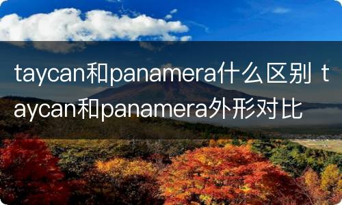 taycan和panamera什么区别 taycan和panamera外形对比