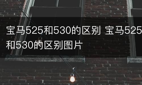 宝马525和530的区别 宝马525和530的区别图片