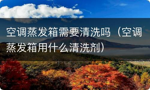 空调蒸发箱需要清洗吗（空调蒸发箱用什么清洗剂）