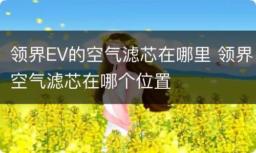 领界EV的空气滤芯在哪里 领界空气滤芯在哪个位置