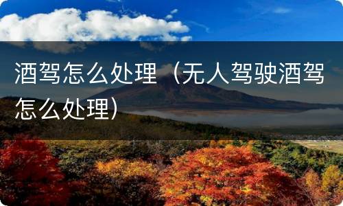 酒驾怎么处理（无人驾驶酒驾怎么处理）