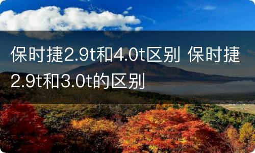 保时捷2.9t和4.0t区别 保时捷2.9t和3.0t的区别