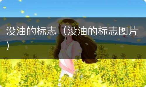 没油的标志（没油的标志图片）