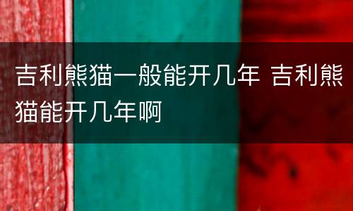 吉利熊猫一般能开几年 吉利熊猫能开几年啊