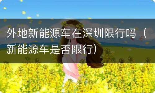 外地新能源车在深圳限行吗（新能源车是否限行）