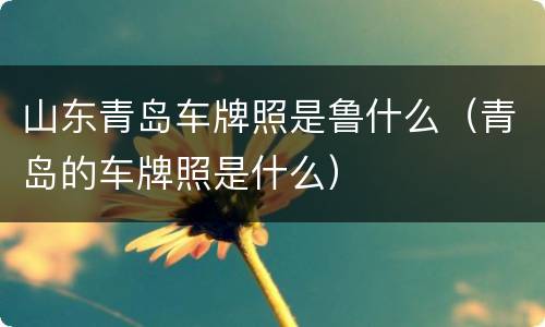 山东青岛车牌照是鲁什么（青岛的车牌照是什么）