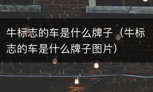 牛标志的车是什么牌子（牛标志的车是什么牌子图片）