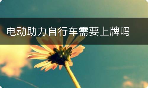 电动助力自行车需要上牌吗