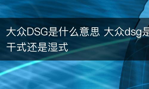 大众DSG是什么意思 大众dsg是干式还是湿式