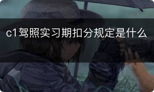 c1驾照实习期扣分规定是什么