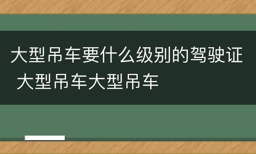 大型吊车要什么级别的驾驶证 大型吊车大型吊车