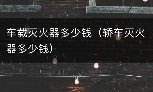 车载灭火器多少钱（轿车灭火器多少钱）