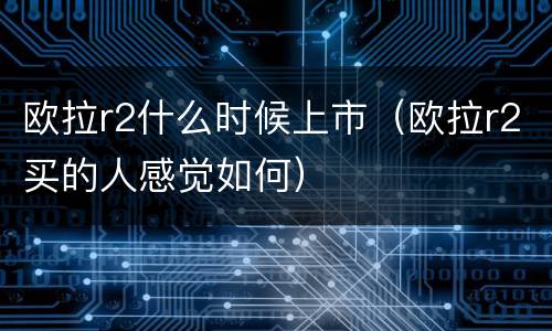 欧拉r2什么时候上市（欧拉r2买的人感觉如何）
