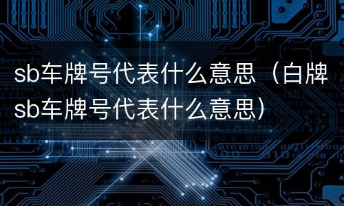 sb车牌号代表什么意思（白牌sb车牌号代表什么意思）