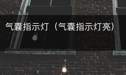 气囊指示灯（气囊指示灯亮）
