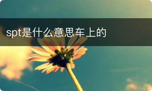 spt是什么意思车上的