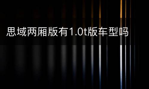 思域两厢版有1.0t版车型吗