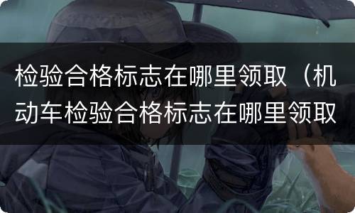 检验合格标志在哪里领取（机动车检验合格标志在哪里领取）