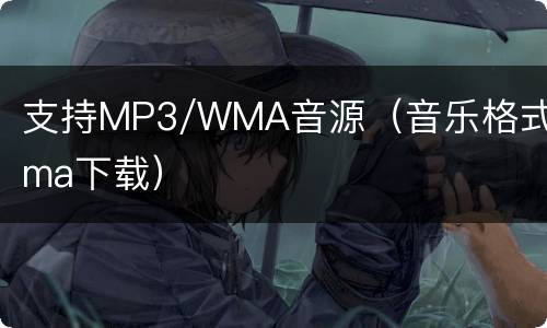 支持MP3/WMA音源（音乐格式wma下载）