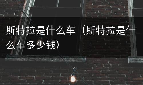 斯特拉是什么车（斯特拉是什么车多少钱）
