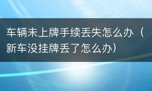 车辆未上牌手续丢失怎么办（新车没挂牌丢了怎么办）