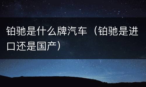 铂驰是什么牌汽车（铂驰是进口还是国产）