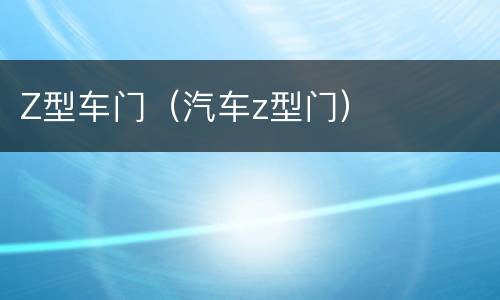 Z型车门（汽车z型门）