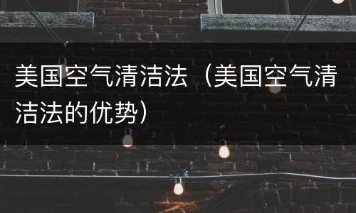 美国空气清洁法（美国空气清洁法的优势）