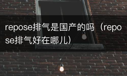 repose排气是国产的吗（repose排气好在哪儿）