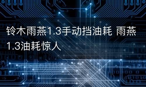 铃木雨燕1.3手动挡油耗 雨燕1.3油耗惊人