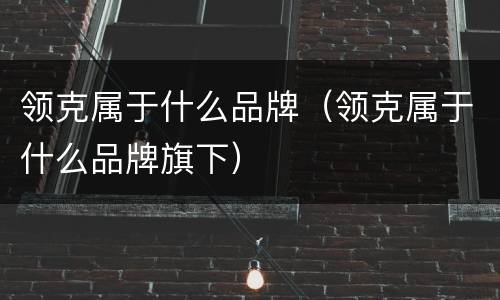 领克属于什么品牌（领克属于什么品牌旗下）