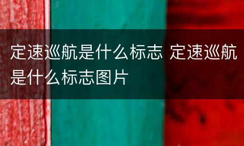 定速巡航是什么标志 定速巡航是什么标志图片