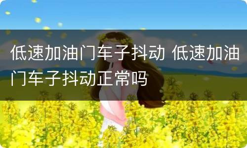 低速加油门车子抖动 低速加油门车子抖动正常吗