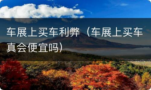 车展上买车利弊（车展上买车真会便宜吗）