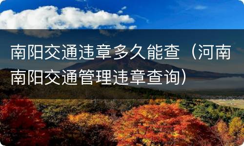 南阳交通违章多久能查（河南南阳交通管理违章查询）