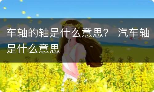 车轴的轴是什么意思？ 汽车轴是什么意思