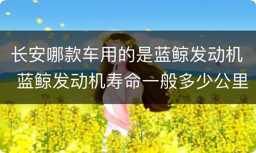 长安哪款车用的是蓝鲸发动机 蓝鲸发动机寿命一般多少公里