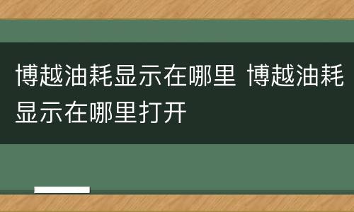 博越油耗显示在哪里 博越油耗显示在哪里打开